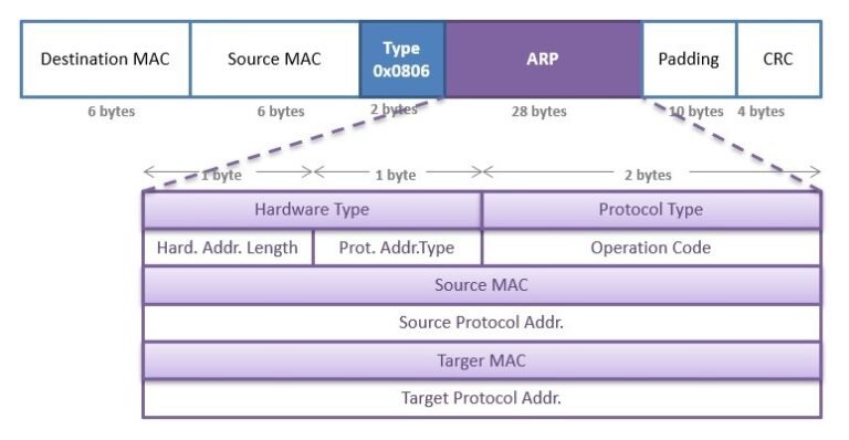 Protocolo ARP en Packet Tracer: tablas ARP, asignación IP dinámica y correspondencias IP-MAC